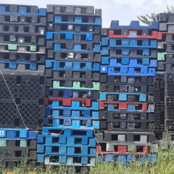 Galeri Pallet Plastik - Roy Shop (1) Galeri Pallet Plastik - Roy Shop (1)